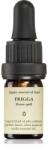 Smells Like Spells Essential Oil Blend Frigga esszenciális olaj (Home spell) 5 ml