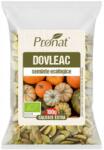 Pronat Foil Pack Seminte de Dovleac BIO, 100 g, Pronat