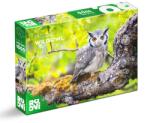 ROOVI Puzzle 1000 Piese, Roovi, Bufnita Salbatica de James Rushforth (TOY-79404) Puzzle