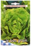 Raci Sementi Seminte de Salata Verde Iarna, Frunze Mari, Meraviglia D'Inverno, 6 g, Raci Sementi (ADS-243)