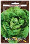 Raci Sementi Seminte de Salata Verde, America 3, Frunze Rotunde si Groase, 6 g, Raci Sementi (ADS-239)