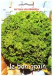 Raci Sementi Seminte de Salata Verde Creata, Lollobrigida, 6 g, Raci Sementi (ADS-242)