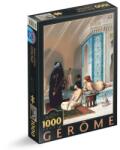 D-Toys Puzzle 1000 Piese D-Toys, Jean Leon Gerome, Pool in a Harem (TOY-72726-02) Puzzle