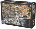 D-Toys Puzzle 1000 Piese D-Toys, Fete de Pisici (TOY-74331-02) Puzzle