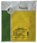 Hazera Seminte de Pepene Galben, Garfield, 100 Bucati, Hazera (ADS-1116)