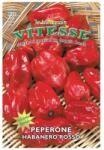 Raci Sementi Seminte de Ardei Iute, Habanero Rosu, 0.6 g, Raci Sementi (ADS-1091)