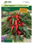Adrisem Seminte de Ardei Iute pentru Cultivare la Ghiveci, F1 Galaxy, 12 Seminte (ADS-857)