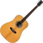 Pasadena PD-350 Natural Lucios Chitară acustică