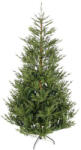 Polihome Brad de Crăciun Fir 210cm cu 2590 Ramuri 162779909 (162779909)