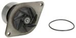 THERMOTEC Pompă de apă, răcire motor THERMOTEC WP-NH001 (WP-NH001)