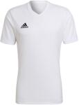 adidas Performance adidas Performance, Ent22 V-nyakú futballpóló, Fehér, 2XL (HC5071-XXL)