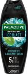 Palmolive Tusfürdő Férfi 500ml Ice Blast