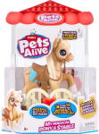 ZURU Pets Alive - My Magical Pony with Stable, Toy Figure (9546) - pcone