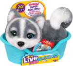 Moose Toys Ltd Moose Toys Little Live Pets My Really Real S2 Puppy Mini - Aurora, cuddly toy (26648) - pcone