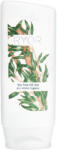 Ryor Tea Tree Oil Gel for Intimate Hygiene 200 ml - parminunat