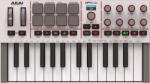 AKAI MPK Mini MK4 Gray Миди клавиатура (CAKA1391)