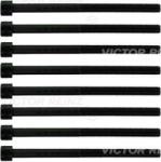 Victor Reinz Sada skrutiek hlavy valcov VICTOR REINZ 14-10882-01 (14-10882-01)