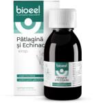 Bioeel Sirop de patlagina si echinacea, 120ml, Bioeel