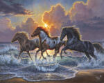 Figured Art Set pictura pe numere, cu sasiu, Galop la mare, 40x50 cm (FA10016-Y)