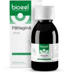 Bioeel Sirop de Patlagina, 120ml, Bioeel