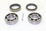 ASHIKA Set rulment roata ASHIKA 44-16004 (44-16004) - automobilus