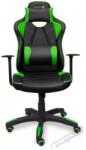 CONNECT IT LeMans Pro CGC-0700-GR, green