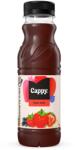 Cappy eper 0, 33l DRS egyutas visszaváltási díjas PET palackos gyümölcslé (1024014)