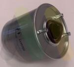 MOTAQUIP filtru combustibil MOTAQUIP LVFF702 (LVFF702) - automobilus