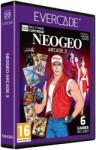 Evercade NEOGEO Arcade 3