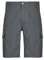 Dickies Rövidnadrágok MILLERVILLE SHORT Szürke US 30