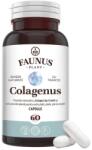 Faunus Plant Colagenus Capsule - Colagen concentrat tip II, acid hialuronic și plante medicinale. Dureri articulare, rezistență articulații, flexibilitate - 60 Capsule