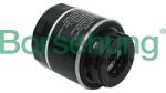Borsehung Filtru ulei Borsehung B12814 (B12814)