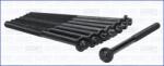 AJUSA Set surub, chiulasa AJUSA 81052500 (81052500)