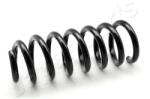 JAPANPARTS Arc spiral JAPANPARTS ZC6185A (ZC6185A)