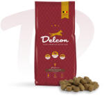 Delcon Regular Plus Lamb Prémium kutyatáp aktív kutya bárány 3 kg (111003)