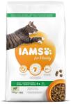 Iams Cat Adult Lamb macskatáp 10kg (LPHT-IAMS7)