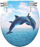 NewHome WC tető delfin mintás | P-A