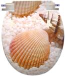 NewHome WC tető kagyló mintás | P-B