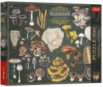 Trefl 500 db-os puzzle - Finders Keepers - Gombák (37608) (37608)