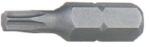  TORX profilú bit, TX 40, L 25, D 1/4' ' , AMB - 1