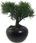4-Home Mű bonsai Cédrus virágcserépben, zöld, 19 cm