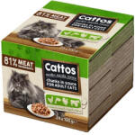 Cattos 24x100g alutasak - tenyesztoitap