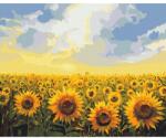Brushme Számozott kifestő készlet, feszített vásznon, 40x50 cm - Napraforgómező
