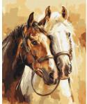 Brushme Számozott kifestő készlet, feszített vásznon, 40x50 cm - Nemes lovak