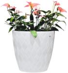 FORM-PLASTIC Kaspó virágtartó | Fehér | 85L (5115-011)