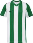 Nike NK DF STRIPPED JERSEY JR Alb, Verde, Negru XL (FZ9341-103)