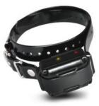 Dogtra Zgarda și receptor Dogtra iQ / iQ Plus