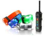 Dogtra 4504 EDGE | Zgarda electronică pentru dresaj