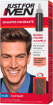 Just for Men Castano H-30 sampon colorant 66 ml