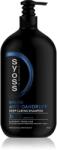 Syoss Intense Anti-Dandruff sampon anti-matreata pentru un scalp uscat 750 ml